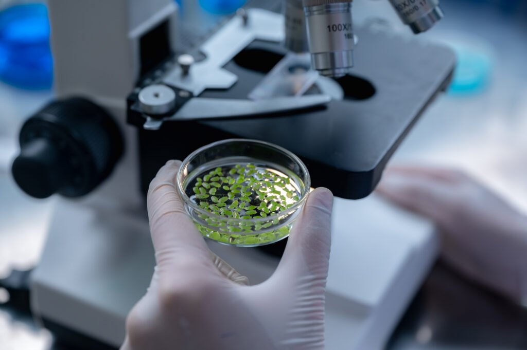 Cientista fazendo pesquisas sobre plantas em laboratório com microscópio